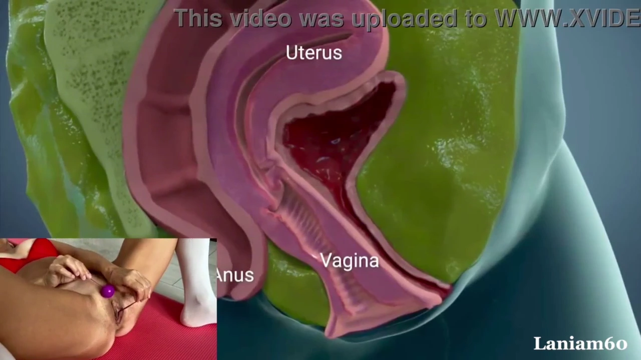 Watch vagina anatomi, grey anatomy sex, sex grey's anatomy, anatomy of sex video porn movies and download Vagina, anatomy of a vagina, vagina anatomi streaming porn to your phone